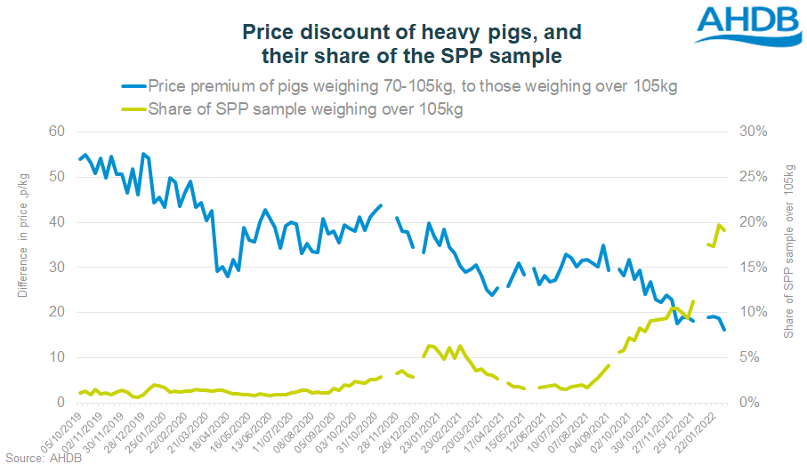 Chart showing share of heavy pigs in the SPP
